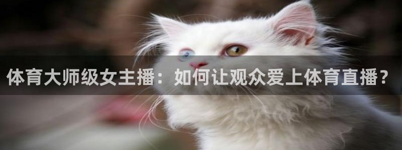 雨燕360体育免费直播nba回放：体育大师级女主播：如何让观众爱上体育直播？
