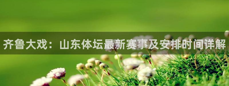 雨燕360足球直播：齐鲁大戏：山东体坛最新赛事及安排时间详解