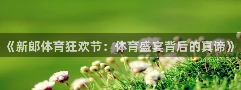 雨燕360体育免费观看：《新郎体育狂欢节：体育盛宴背后的真谛》
