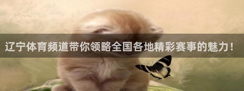 雨燕360体育nba直播免费：辽宁体育频道带你领略全国各地精彩赛事的魅力！