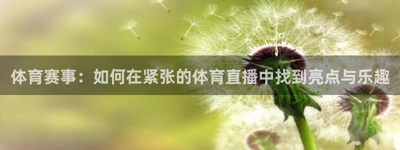 雨燕360体育在线直播手机版：体育赛事：如何在紧张的体育直播中找到亮点与乐趣
