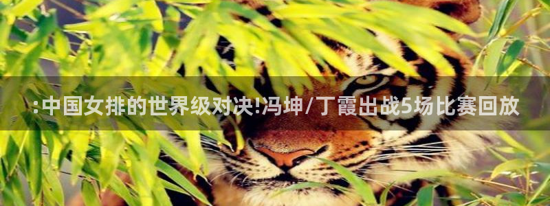 雨燕360体育直播无插件：:中国女排的世界级对决!冯坤/丁霞出战5场比赛回放